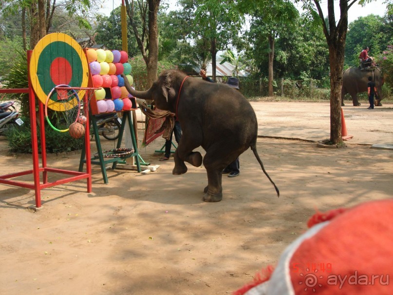 Поездка в Тай 5!!!