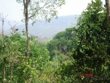 Поездка в Тай 5!!!