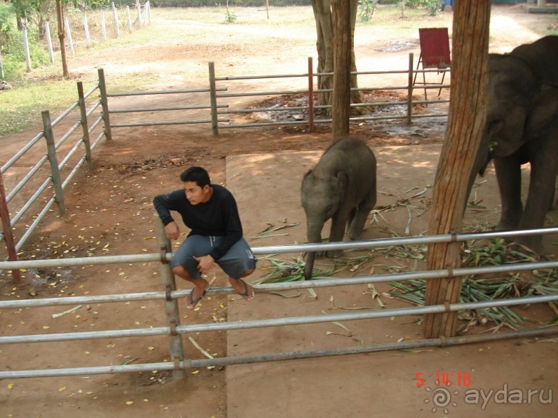 Поездка в Тай 5!!!