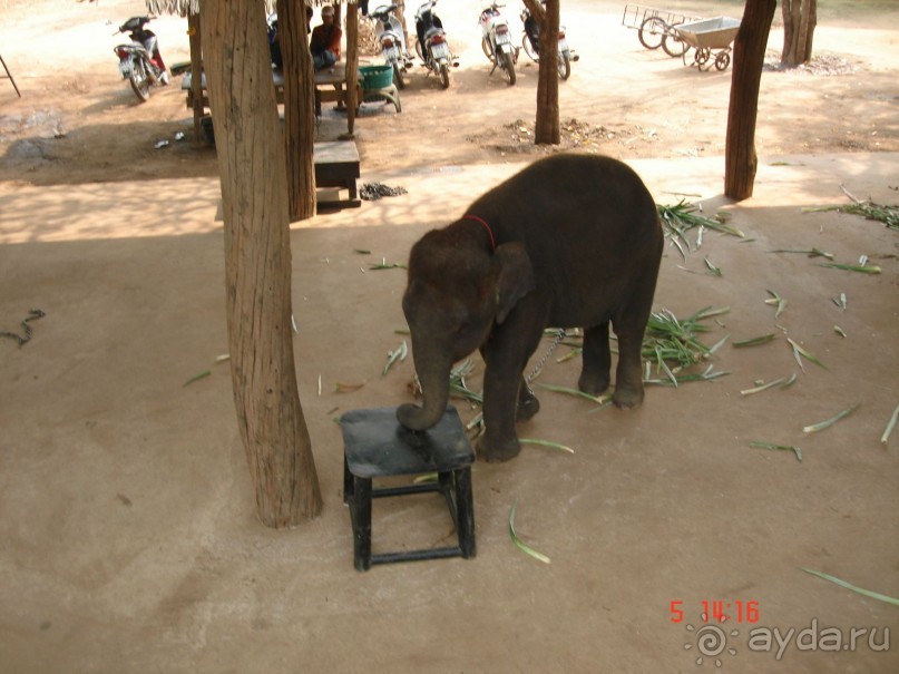 Поездка в Тай 5!!!