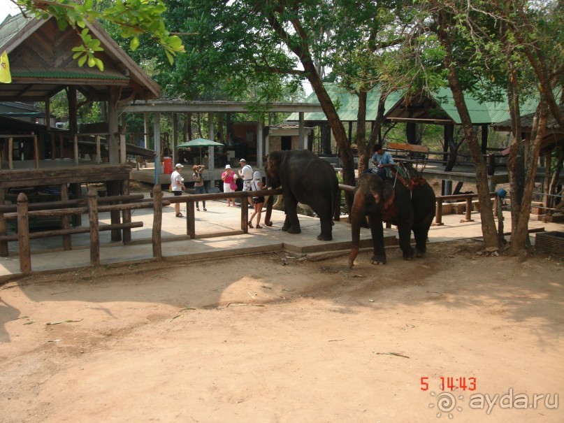 Поездка в Тай 5!!!