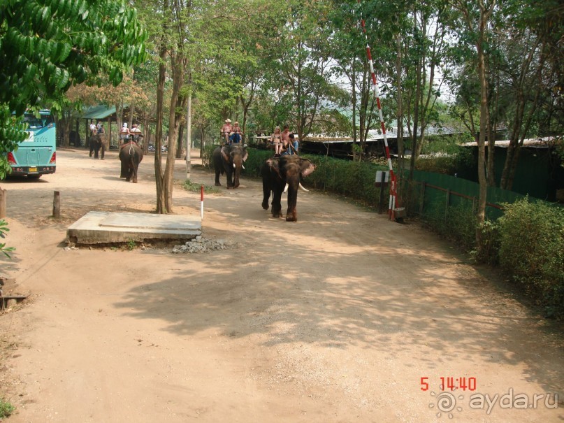 Поездка в Тай 5!!!