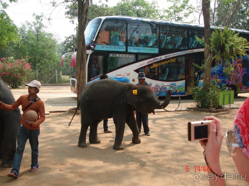 Поездка в Тай 5!!!