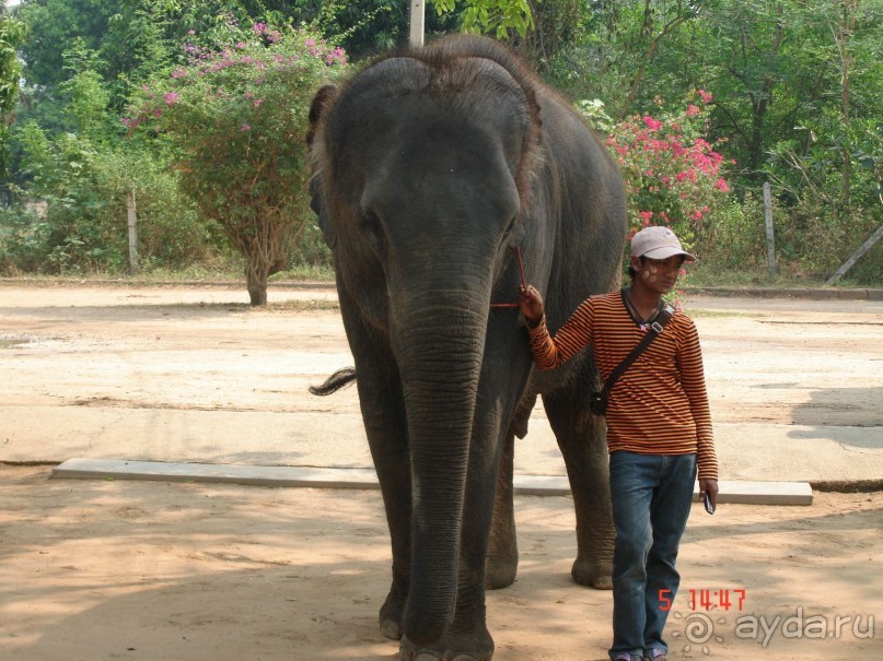 Поездка в Тай 5!!!