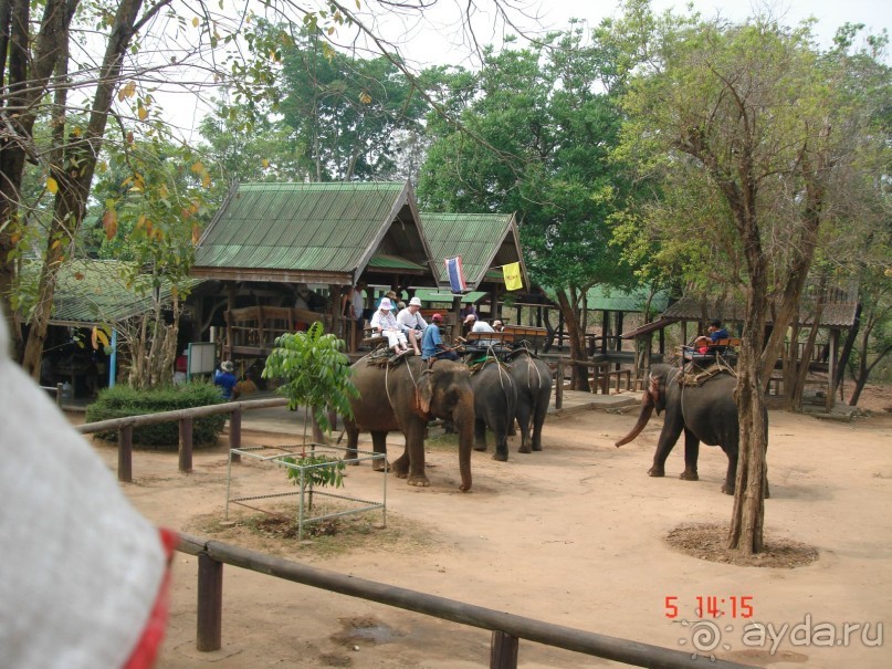Поездка в Тай 5!!!