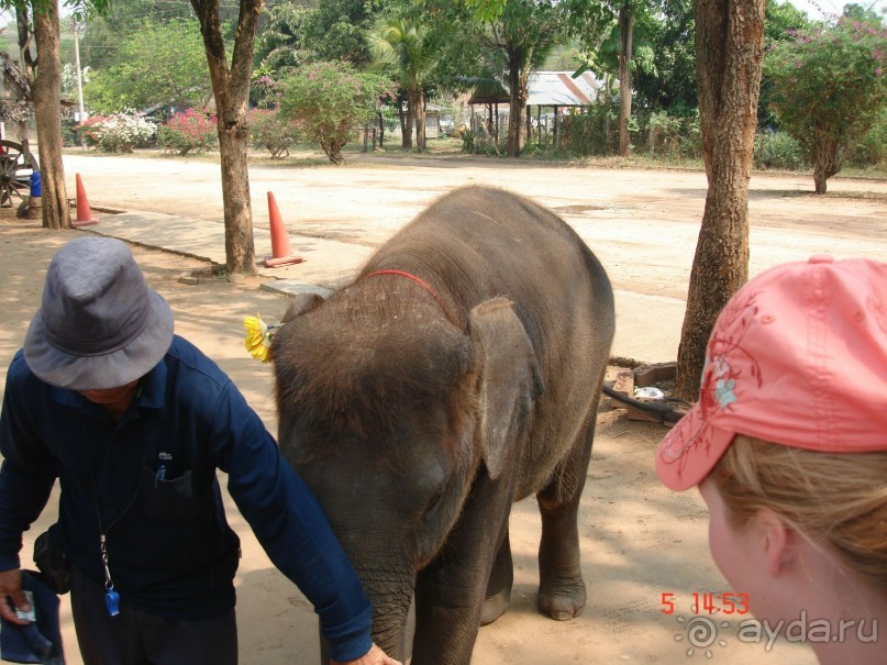 Поездка в Тай 5!!!