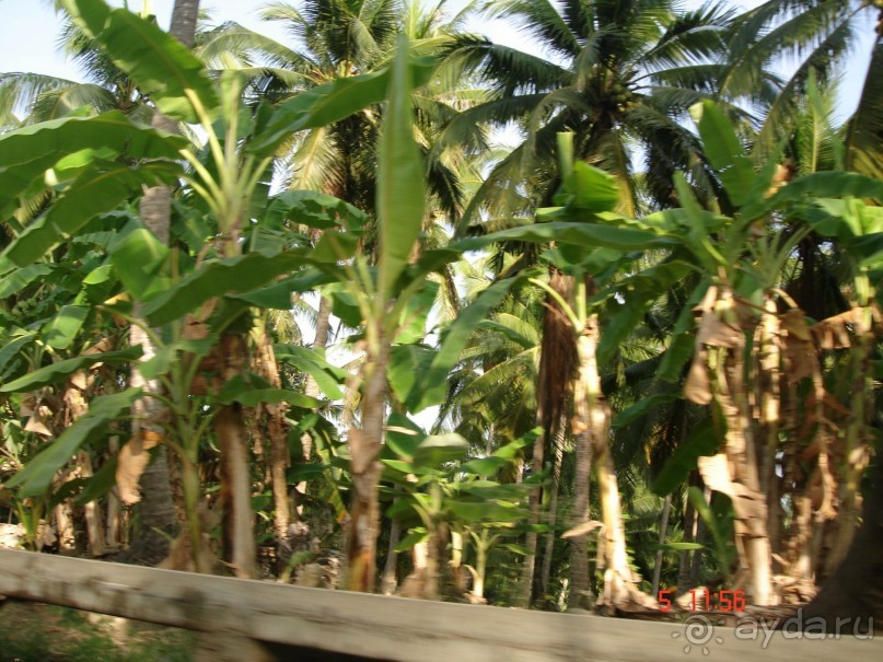 Поездка в Тай 5!!!