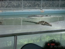 Поездка в Тай 9!!!