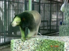 Поездка в Тай 9!!!