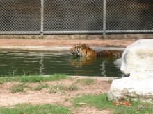 Поездка в Тай 9!!!