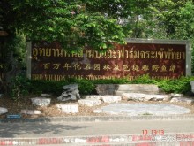 Поездка в Тай 9!!!