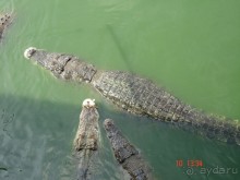 Поездка в Тай 9!!!