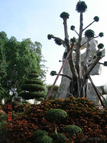 Поездка в Тай 9!!!