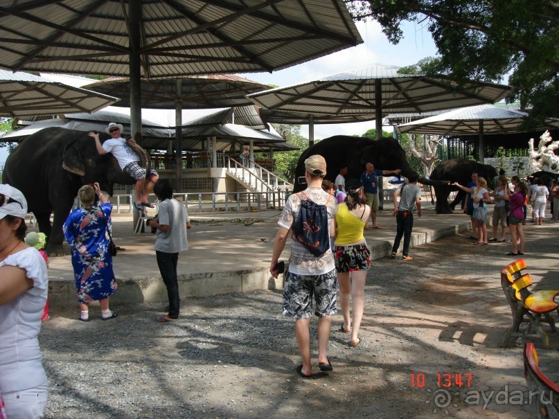 Поездка в Тай 9!!!