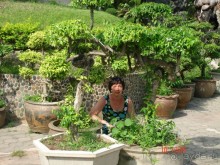 Поездка в Тай 9!!!