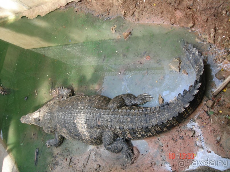 Поездка в Тай 9!!!