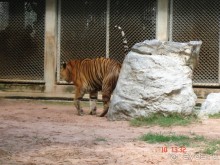 Поездка в Тай 9!!!