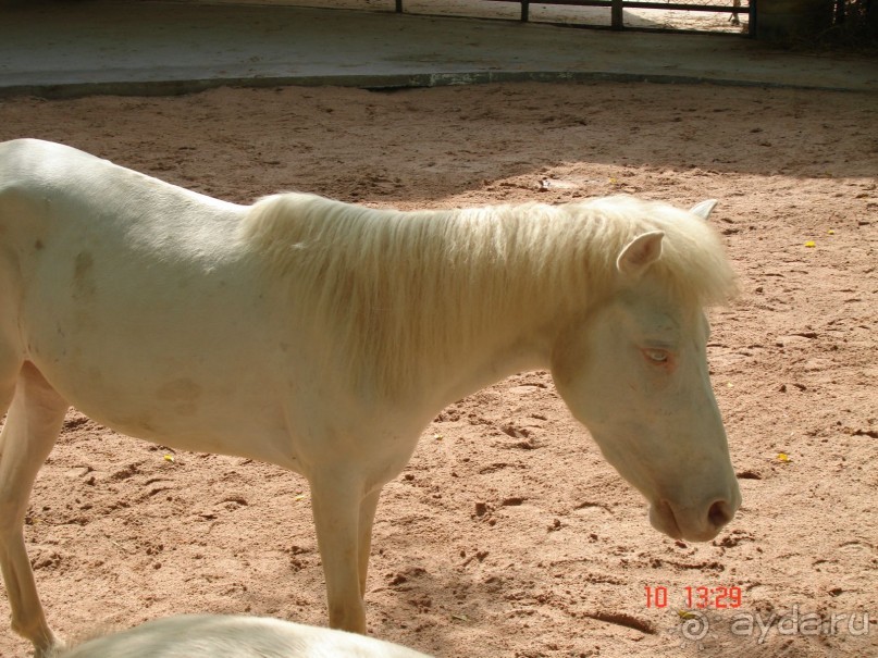 Поездка в Тай 9!!!