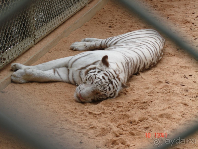 Поездка в Тай 9!!!