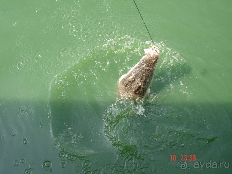 Поездка в Тай 9!!!