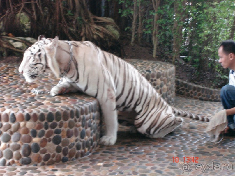 Поездка в Тай 9!!!