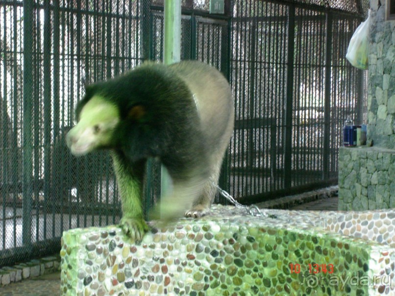 Поездка в Тай 9!!!