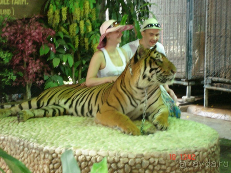 Поездка в Тай 9!!!