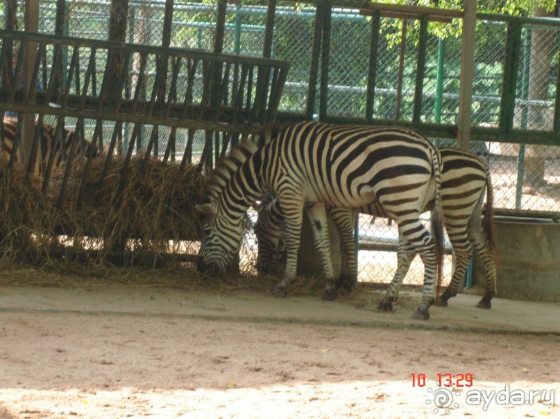 Поездка в Тай 9!!!