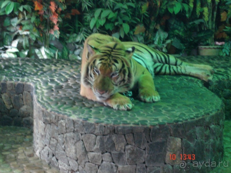 Поездка в Тай 9!!!