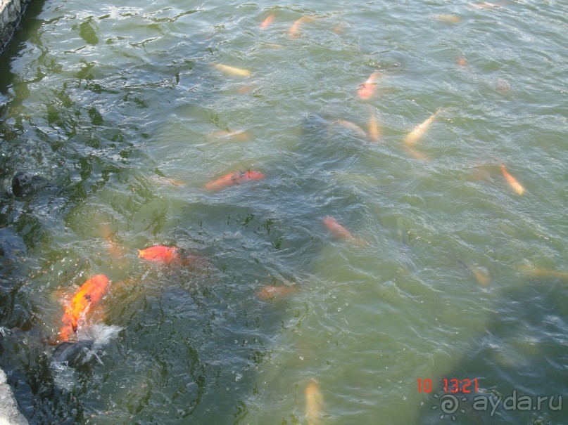 Поездка в Тай 9!!!