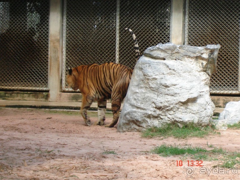 Поездка в Тай 9!!!