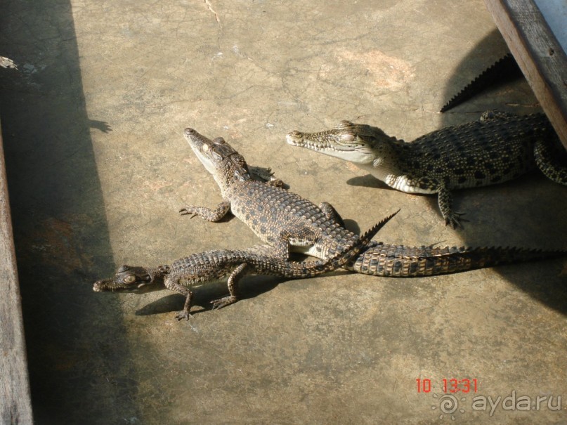 Поездка в Тай 9!!!