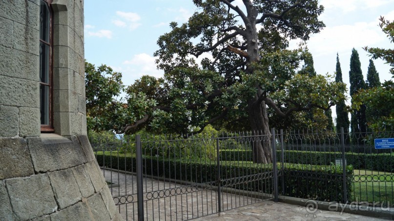 КРЫМ.СЕНТЯБРЬ 2015. АЙ-ПЕТРИ.