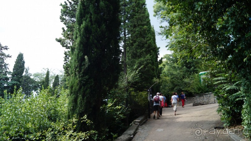 КРЫМ.СЕНТЯБРЬ 2015. АЙ-ПЕТРИ.