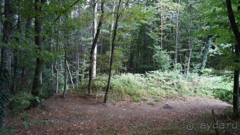 КРЫМ.СЕНТЯБРЬ 2015. АЙ-ПЕТРИ.