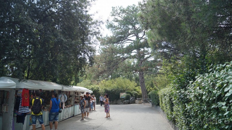 КРЫМ.СЕНТЯБРЬ 2015. АЙ-ПЕТРИ.