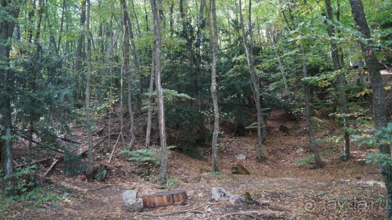 КРЫМ.СЕНТЯБРЬ 2015. АЙ-ПЕТРИ.