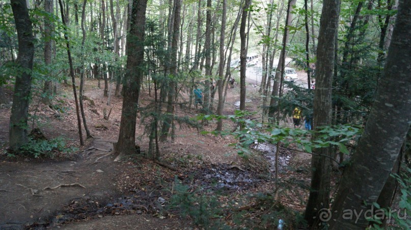 КРЫМ.СЕНТЯБРЬ 2015. АЙ-ПЕТРИ.