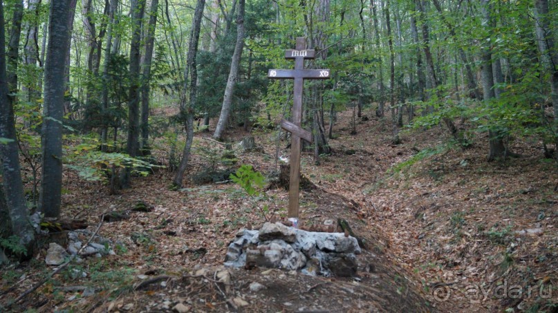 КРЫМ.СЕНТЯБРЬ 2015. АЙ-ПЕТРИ.