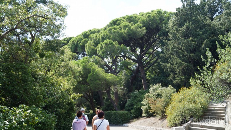 КРЫМ.СЕНТЯБРЬ 2015. АЙ-ПЕТРИ.