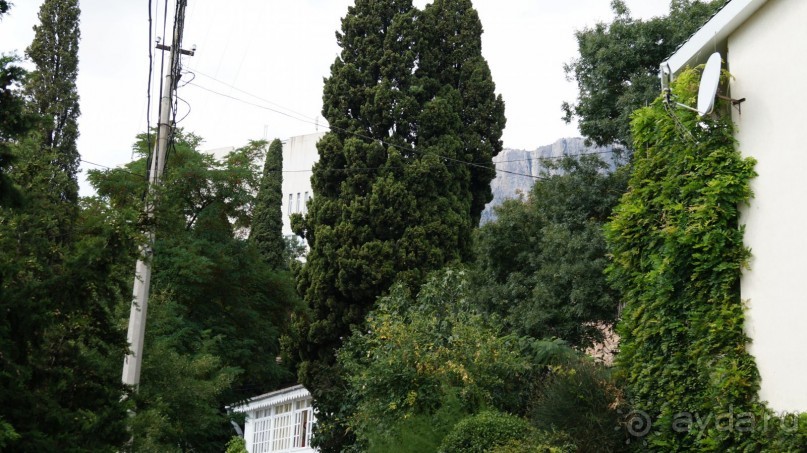 КРЫМ.СЕНТЯБРЬ 2015. АЙ-ПЕТРИ.