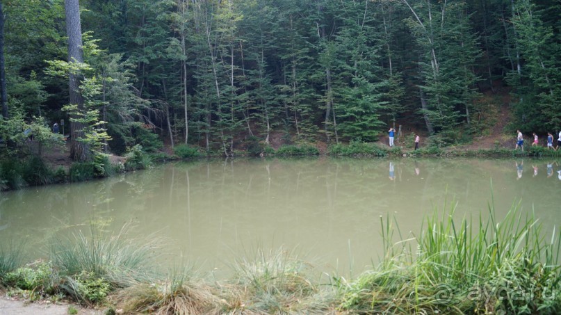 КРЫМ.СЕНТЯБРЬ 2015. АЙ-ПЕТРИ.