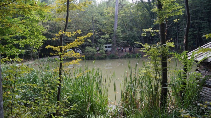 КРЫМ.СЕНТЯБРЬ 2015. АЙ-ПЕТРИ.