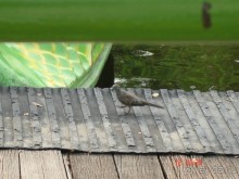 Поездка в Тай 11 !!!