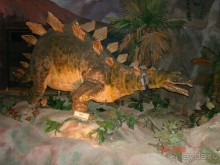 Поездка в Тай 11 !!!