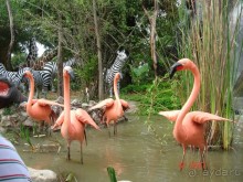 Поездка в Тай 11 !!!