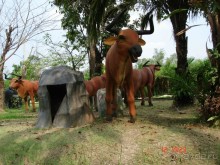 Поездка в Тай 11 !!!