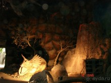 Поездка в Тай 11 !!!