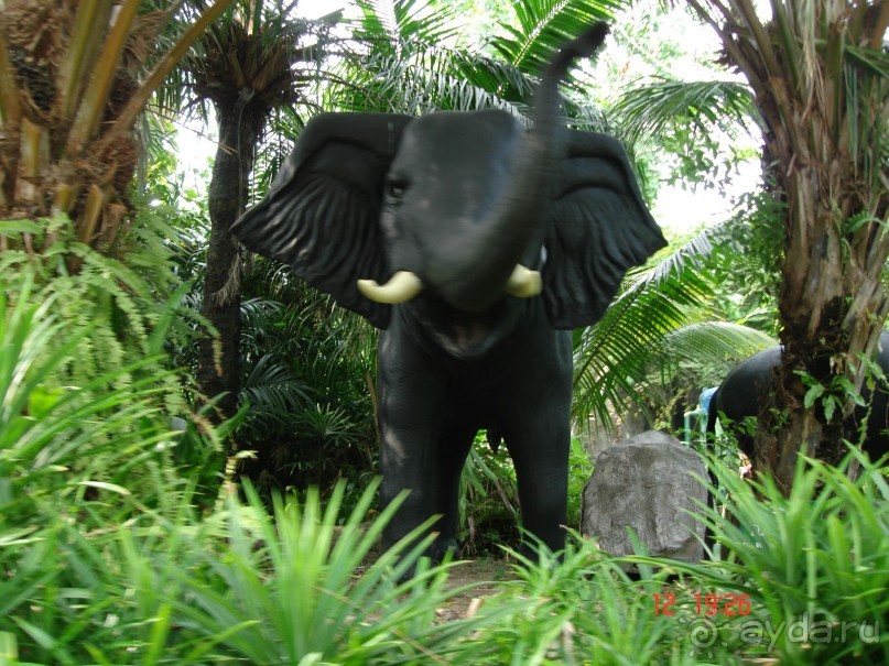 Поездка в Тай 11 !!!