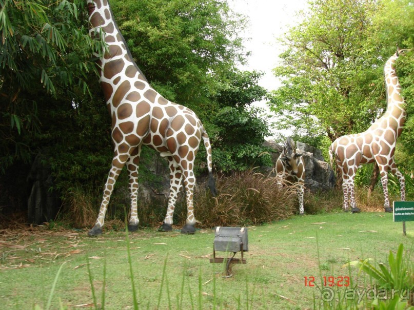 Поездка в Тай 11 !!!